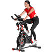 schwinn exercise bike mat