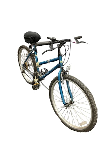 Mt fury best sale roadmaster women's bike