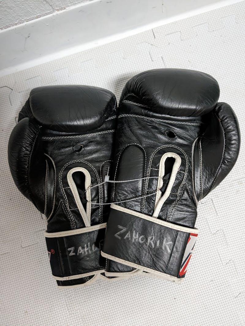 Premier Boxing Gloves  Buy Training Gloves at Revgear