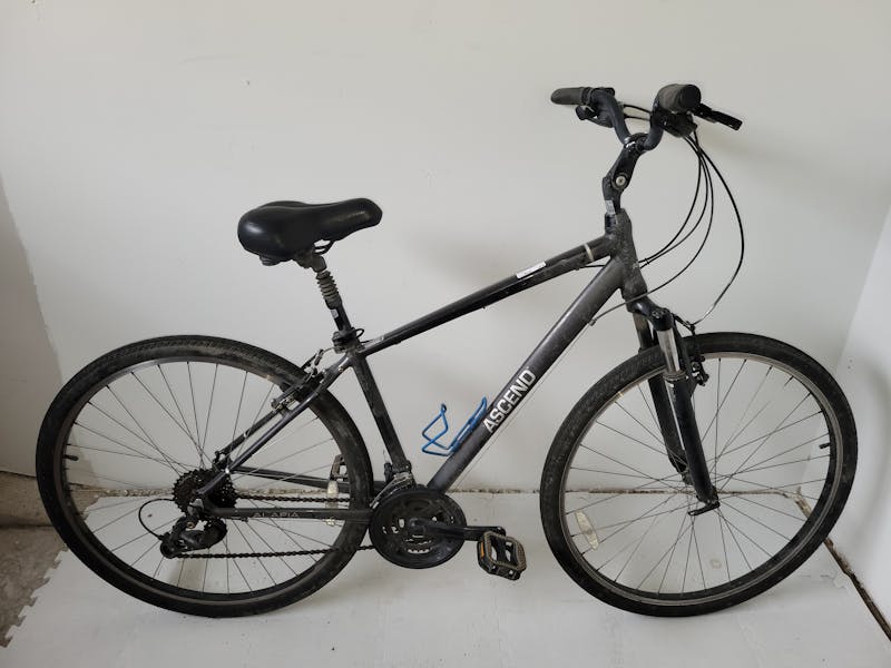 55 cm frame bike hot sale