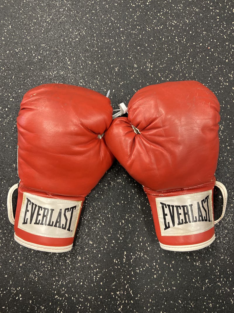 Everlast junior best sale boxing gloves