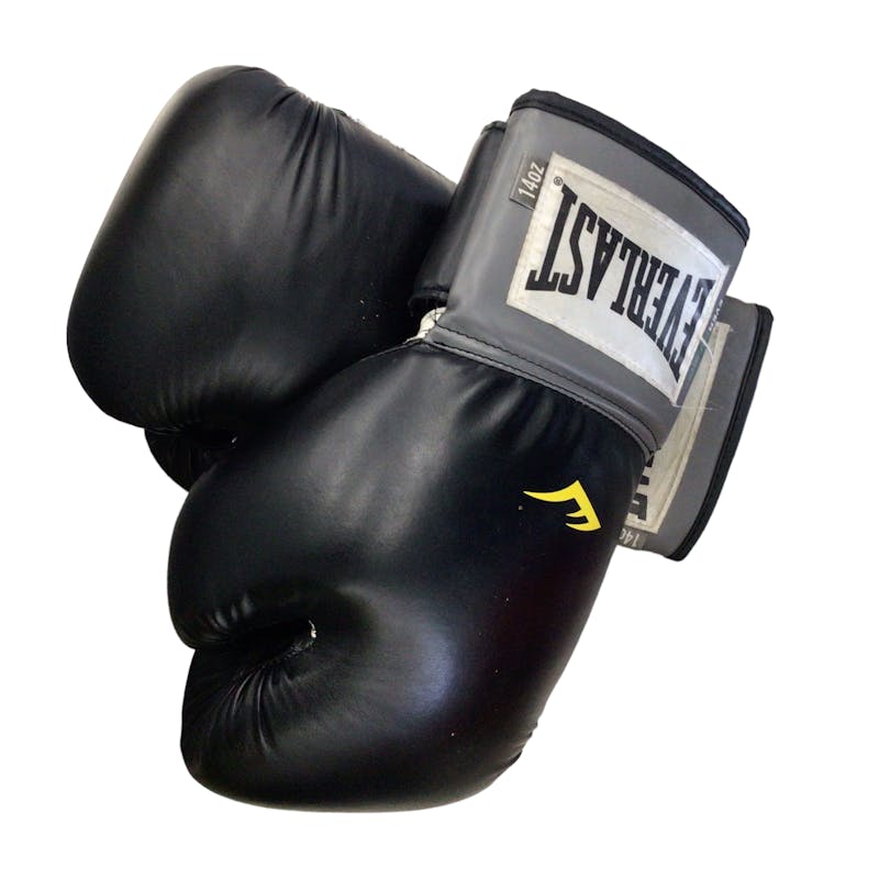 Plasticiteit Stap Zwaaien Used Everlast LG 14 oz Boxing Gloves Boxing Gloves