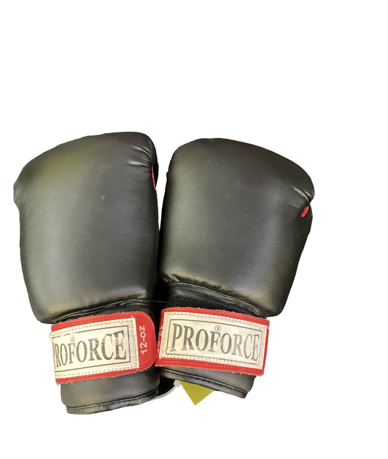 Used Senior 12 oz Boxing Gloves Boxing Gloves