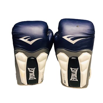 capaciteit waterval Mening Used Everlast Senior 14 oz Boxing Gloves Boxing Gloves