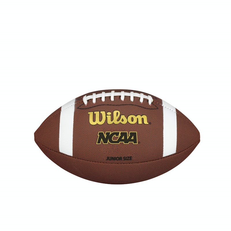 Wilson NFL Ignition Football